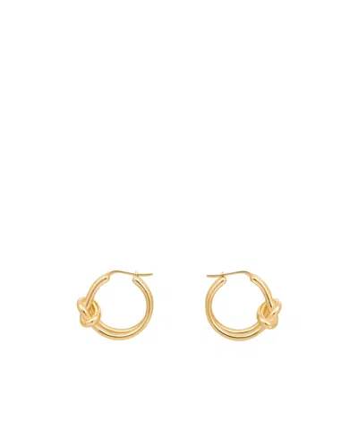Celine Double Ring Brass Earrings In Yellow
