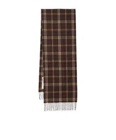 Celine Fringed Scarf In Brown