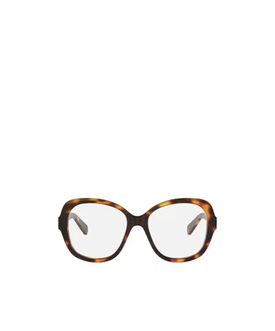 Celine Full Frame Glasses In Brown
