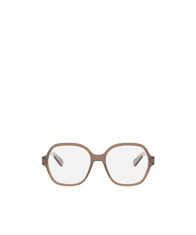 Celine Full Frame Plain Mirror In Brown