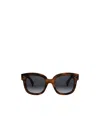 Celine 3 Dots Havana Acetate Square Sunglasses In Black