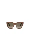 Celine Full Frame Sunglasses In Brown