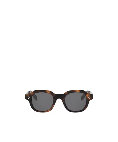 Celine Full Frame Sunglasses In Brown