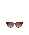 Celine Full Frame Sunglasses In Brown