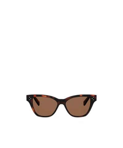 Celine Full Frame Sunglasses In Brown