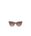 Celine Full Frame Sunglasses In Gray