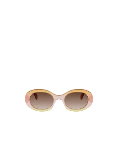 Celine Full Frame Sunglasses In Multi