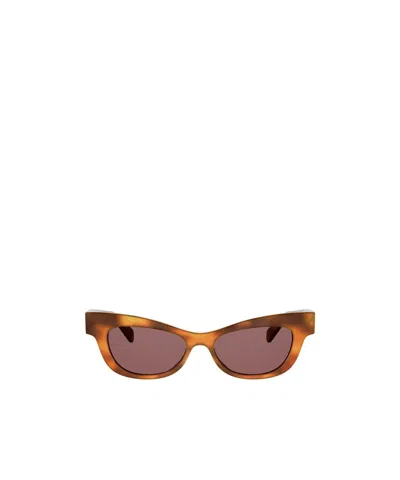 Celine Full Frame Sunglasses In Multi