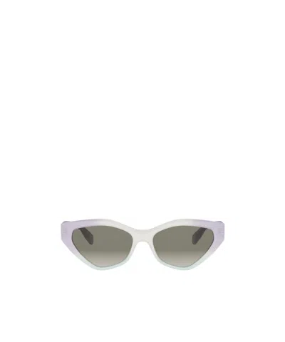 Celine Full Frame Sunglasses In Gray