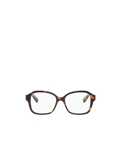 Celine Full-rim Non-prescription Glasses In Brown