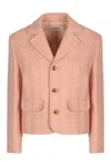 Celine Garance Wool Blend Jacket In Pink