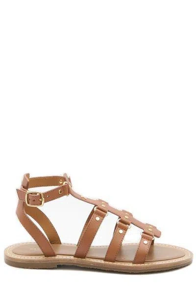 Celine Gladiator Sandals In Brown