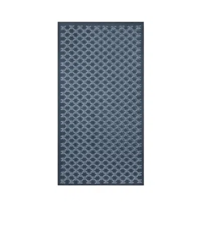 Celine Interwoven Cashmere Gauze Shawl In Blue
