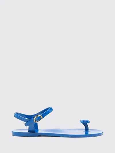 Celine Jelly Bay Thong Sandals In Pvc With Triomphe Logo In Royal Blue