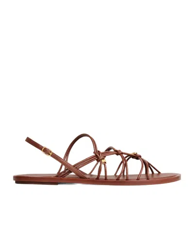 Celine Knots Triomphe Flat Sandal In Goatskin In Brown