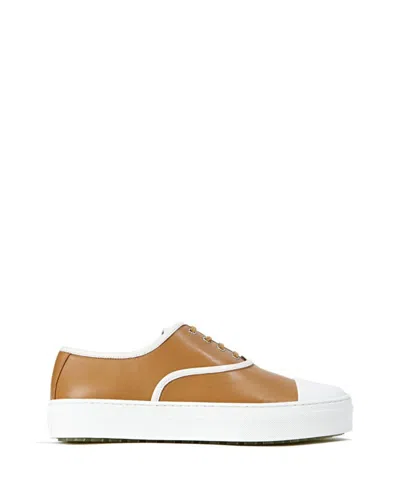 Celine Lace-up Sneakers In Brown