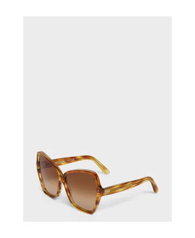 Celine Ladies Sunglasses In Brown