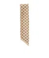 Celine Triomphe Scarf
