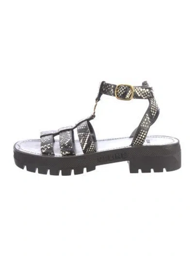 Pre-owned Celine Leather Animal Print Gladiator Sandals In Black