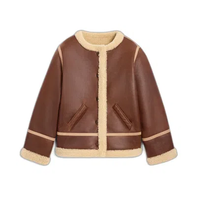 Celine Leather Jacket In Brown