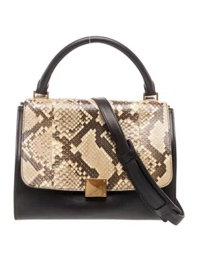 Pre-owned Celine Leather Trapeze Mini In Black