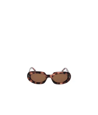 Celine Logo Sunglasses In Brown