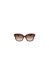 Celine Logo Sunglasses In Brown