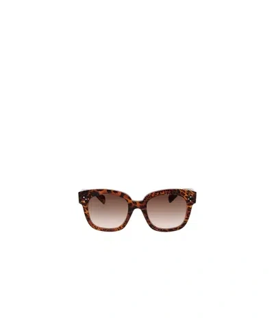Celine Logo Sunglasses In Brown
