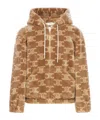 Celine Oversized Hoodie In Brown