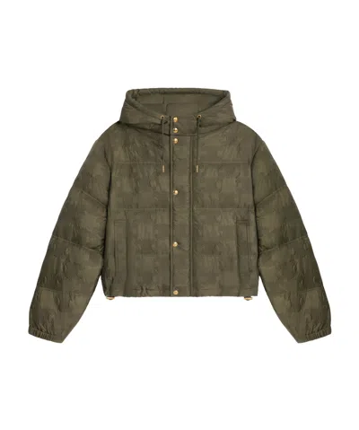 Celine Long-sleeved Short Down Jacket In Green