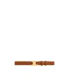 Celine Medium 25mm Triomphe Belt In Nubuck Calfskin In Brown