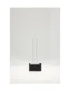 Celine Men Medium Card Holder In Black