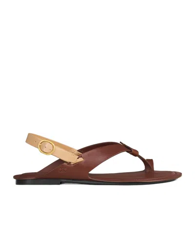 Celine Onyx Thong Sandal In Calfskin Vegetal Tanning In Brown