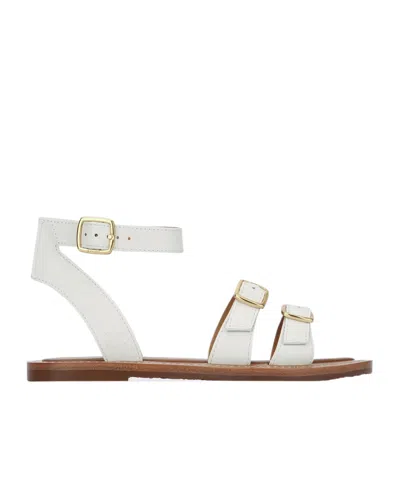 Celine Open Toe Flat Sandals