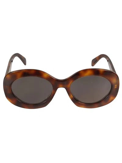 Celine Oval Thick Sunglasses In Brown