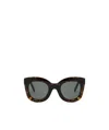 Celine Oversize-frame Sunglasses In Brown
