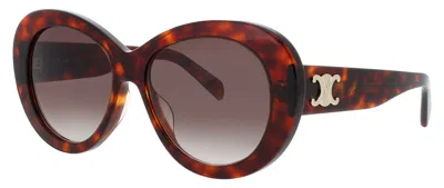 Celine Oversized Cat-eye Sunglasses 55-15-140 In 52f - Dark Havana / Brown Gradient