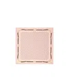 Celine Pattern Silk Scarf In Nude