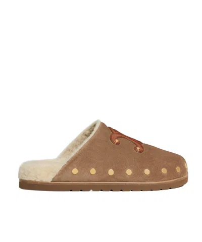 Celine Pitea Clog In Calfskin In Brown
