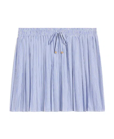 Celine Pleated Skirt In Blue