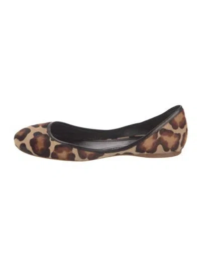 Pre-owned Celine Ponyhair Animal Print Ballet Flats In Brown