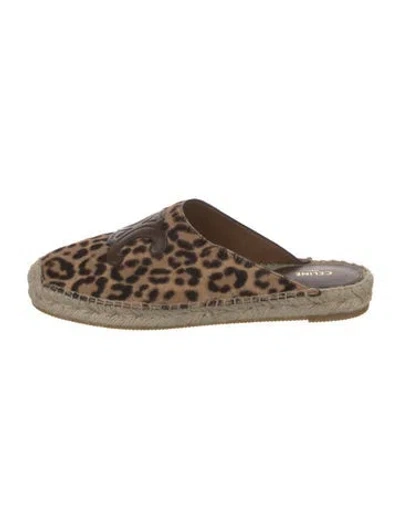 Pre-owned Celine Ponyhair Animal Print Mules In Brown