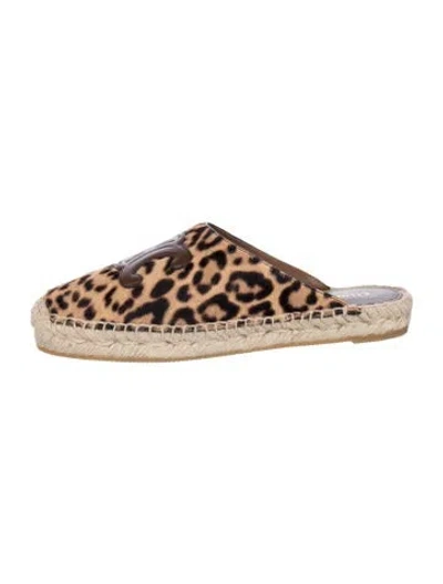 Pre-owned Celine Ponyhair Animal Print Mules In Neutrals