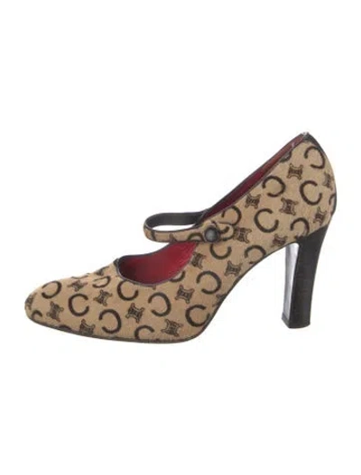 Pre-owned Celine Ponyhair Printed Pumps In Neutral