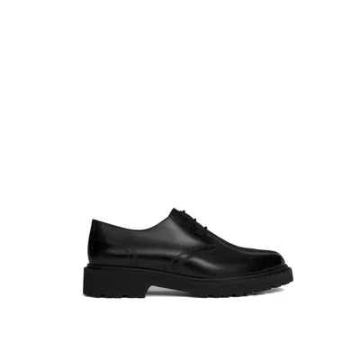 Celine Derby Margaret Leather Lace-up Shoes In Animal Print