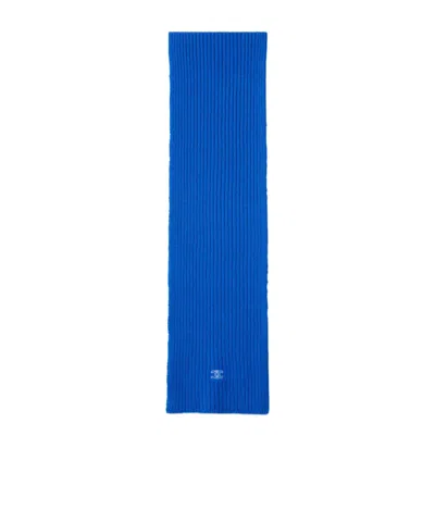 Celine Ribbed Cashmere Scarf In Blue