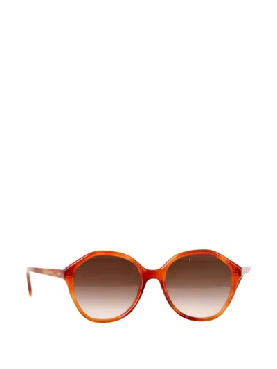 Pre-owned Celine Round Tortoiseshell Sunglasses In Orange