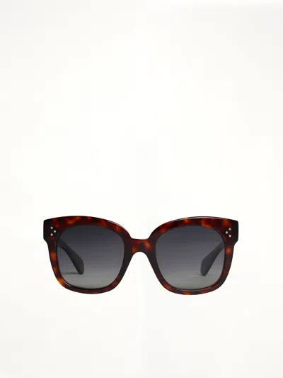 Celine S002 Bold Sun In Brown