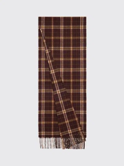 Celine Scarf Men  In Brown