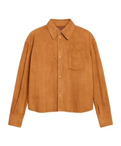 Celine Shirt In Suede In Brown